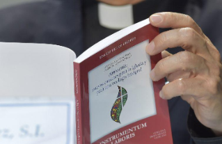 Synod for the Amazon: ‘Instrumentum Laboris’ released